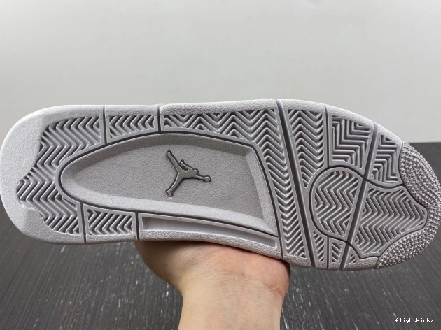 819139-030 Jordan Snakeskin 4 Retro 1210